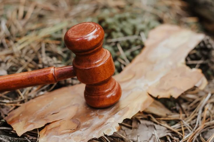 Unused Property Laws